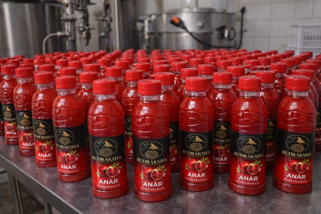 whatsapp image 2026 02 14 at 02.16.58 (1)